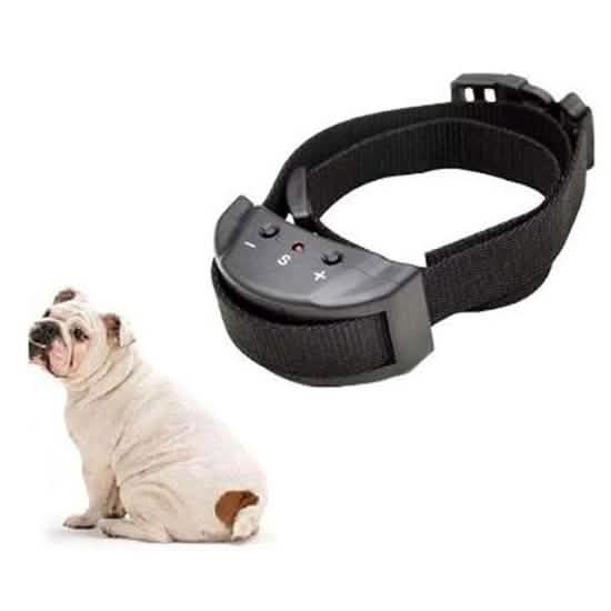 4Pet Advanced No Bark Dog Training Collar with Clicker