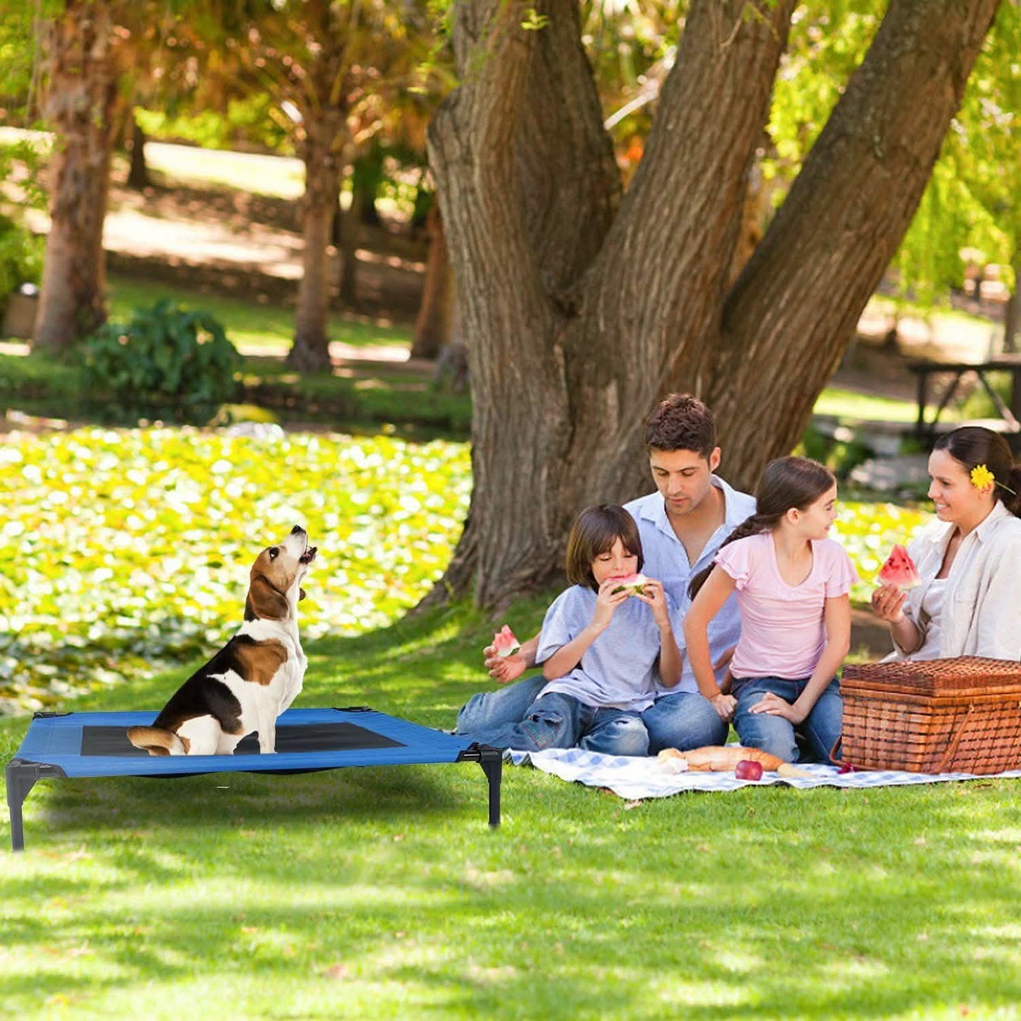 Elevated Dog Cot Bed