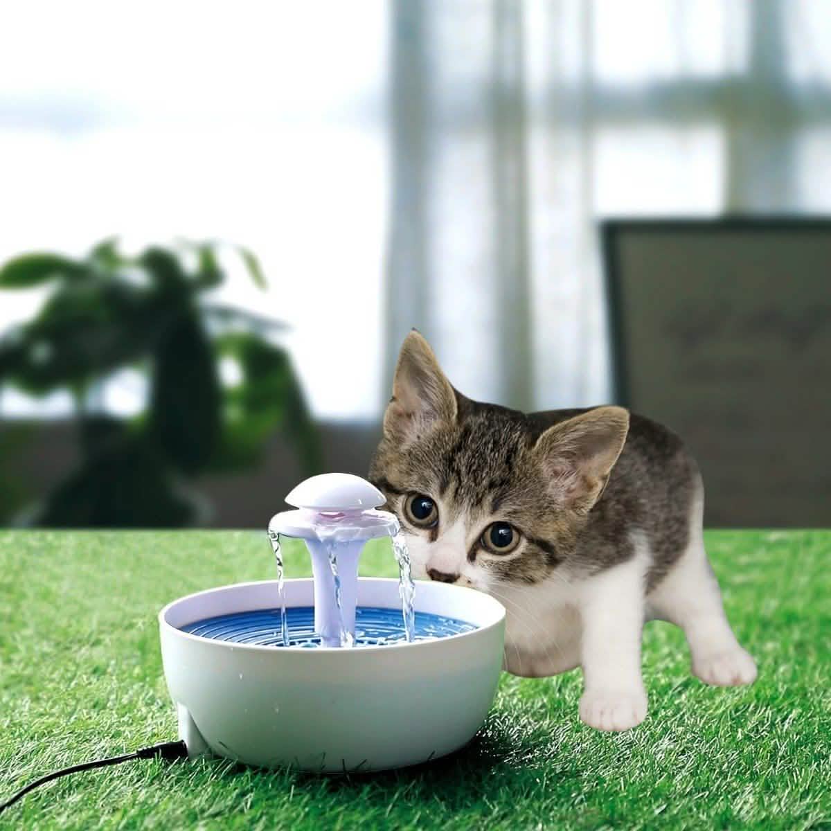 Ez Pet Automatic Water Fountain for Pets