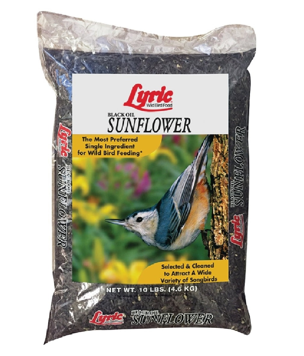 Lyric 26-47421 Black Oil Sunflower Seed Wild Bird Food, 10 Lbs
