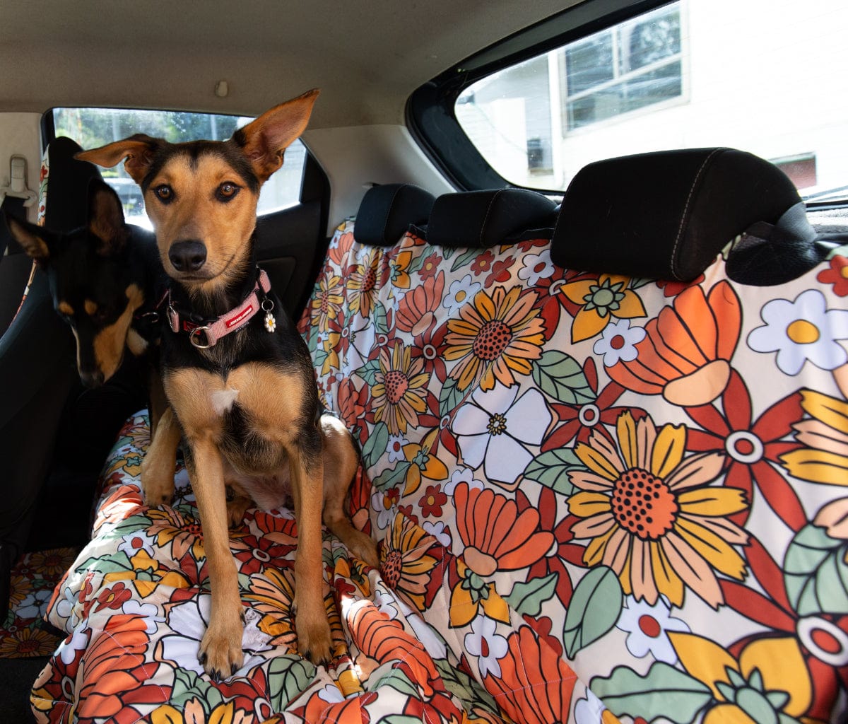 Rustic Blooms Dog Car Seat Covers