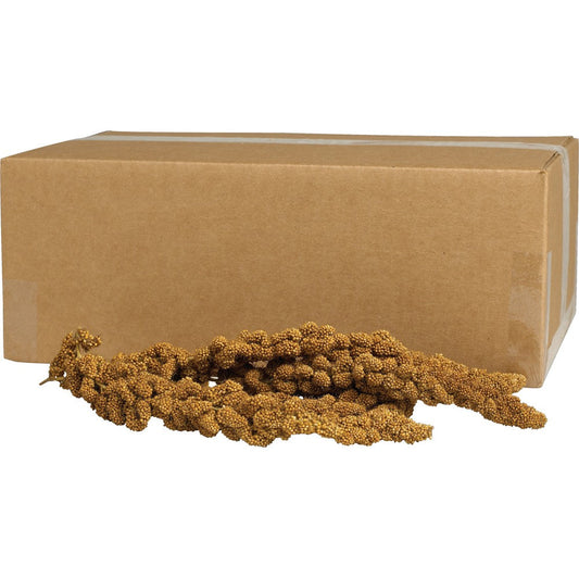 Kaytee Gold Spray Millet For Birds 5 Lb