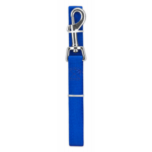 Pet Expert 31851TV Nylon Dog Leash, Blue, 1" x 6'