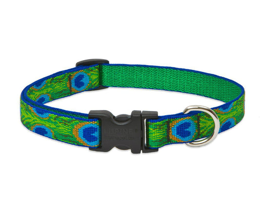 Lupine 32602 Originals Adjustable Collar for Medium Dogs, Tail Feathers, 3/4"x13-22"