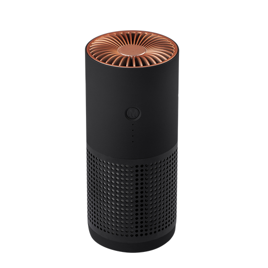 Ion Air Purifier Removing Formaldehyde & Eliminating Odor