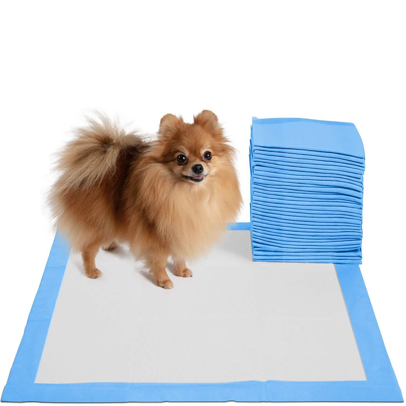 30-Pack: Paws & Pals Puppy Pee Pads Potty Training Leak-Proof