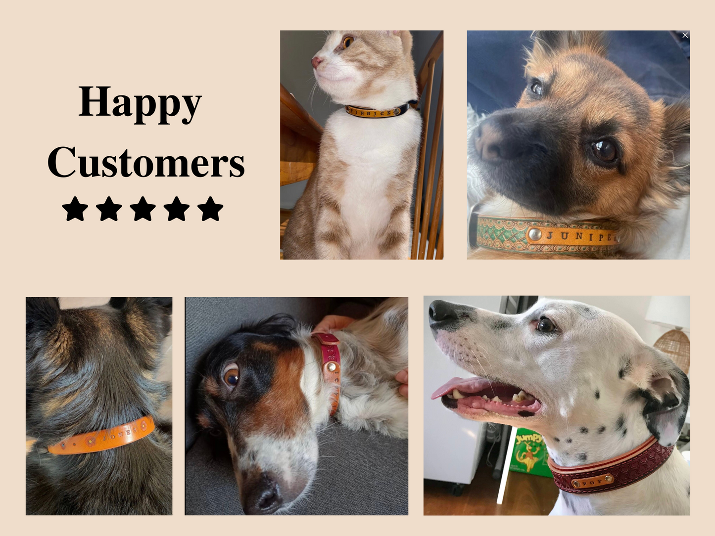 Basket Weave double layered collar