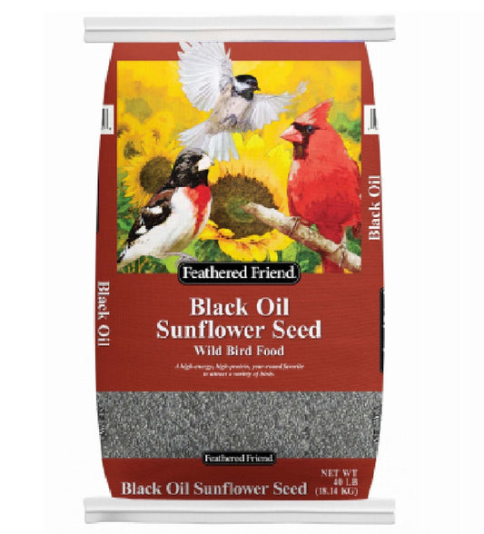 Feathered Friend 14422 Black Oil Sunflower Seed Wild Bird Food, 40-Lbs