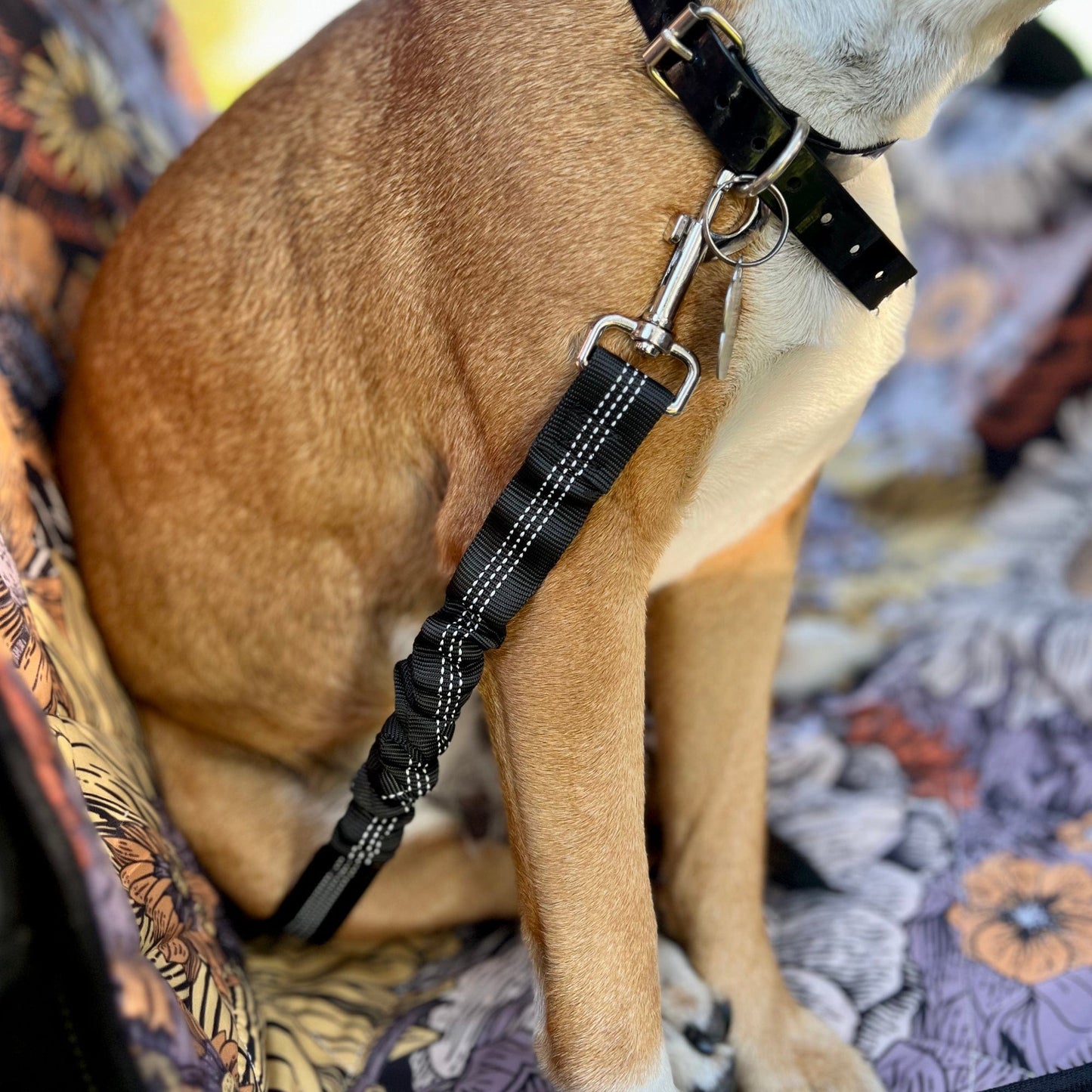 Reflective Shock Absorbing Safety Dog Seat Belt | Raiana's Vibes™