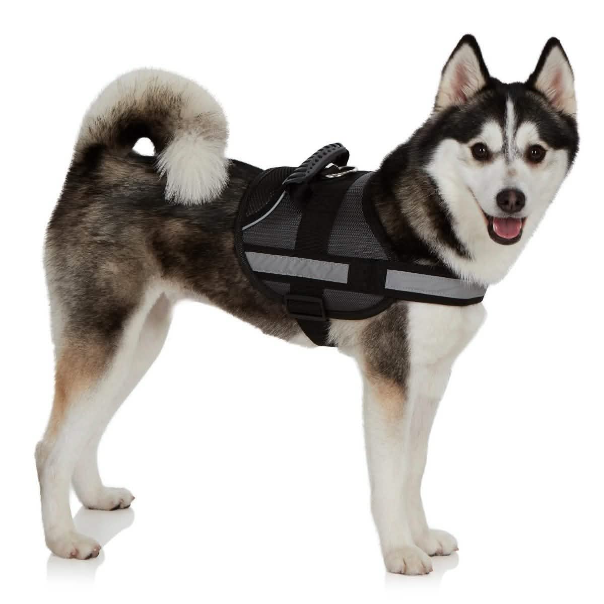 Ez-Pet Vest Collar Soft Adjustable Harness Pet Supplies S Gray - DailySale