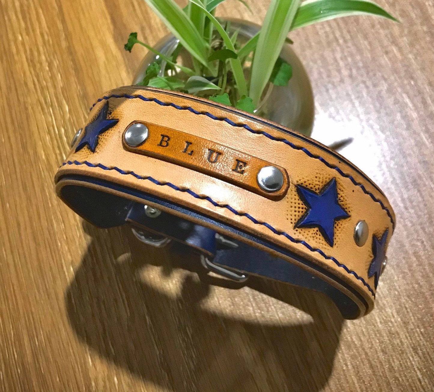 Hand painted shooting star double layered collar