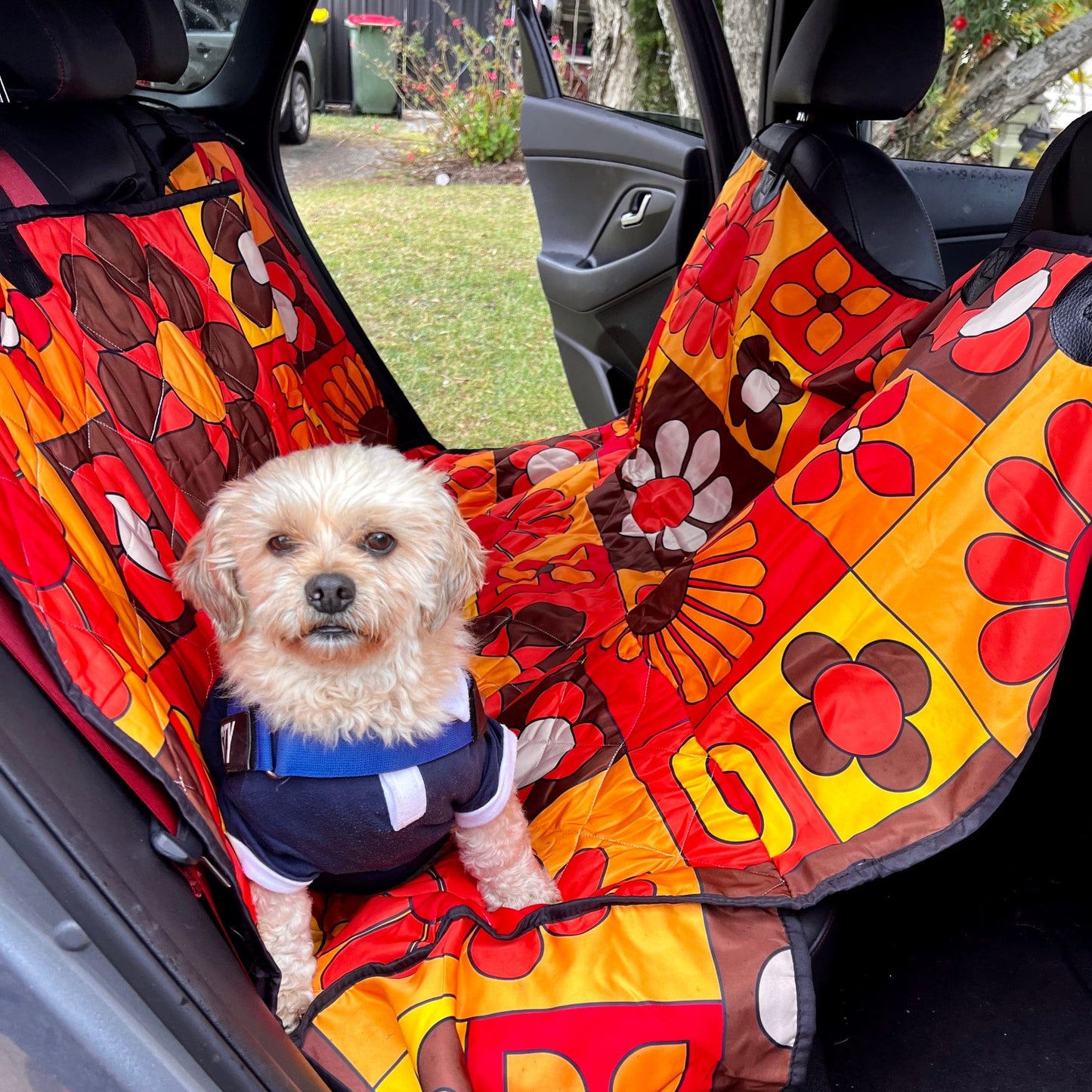 Orange Mod Daisy Dog Car Seat Covers