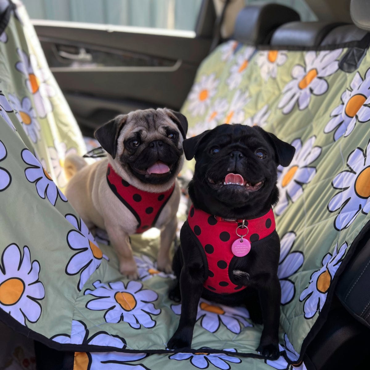 Dog Car Seat Covers