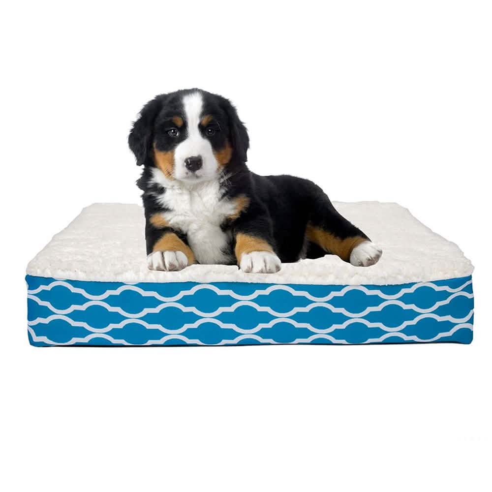 Wags & Whiskers Memory Foam Pet Bed - Assorted Styles Pet Supplies - DailySale