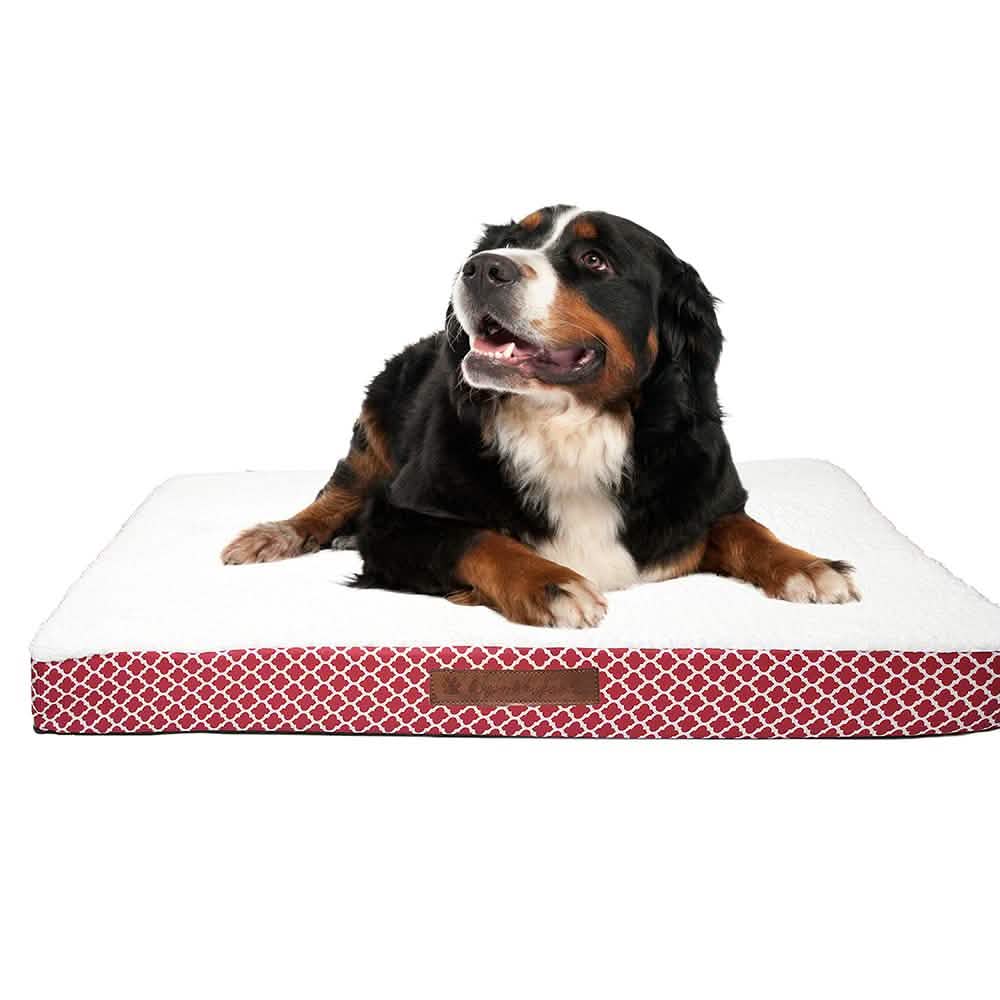 Wags & Whiskers Memory Foam Pet Bed - Assorted Styles Pet Supplies - DailySale