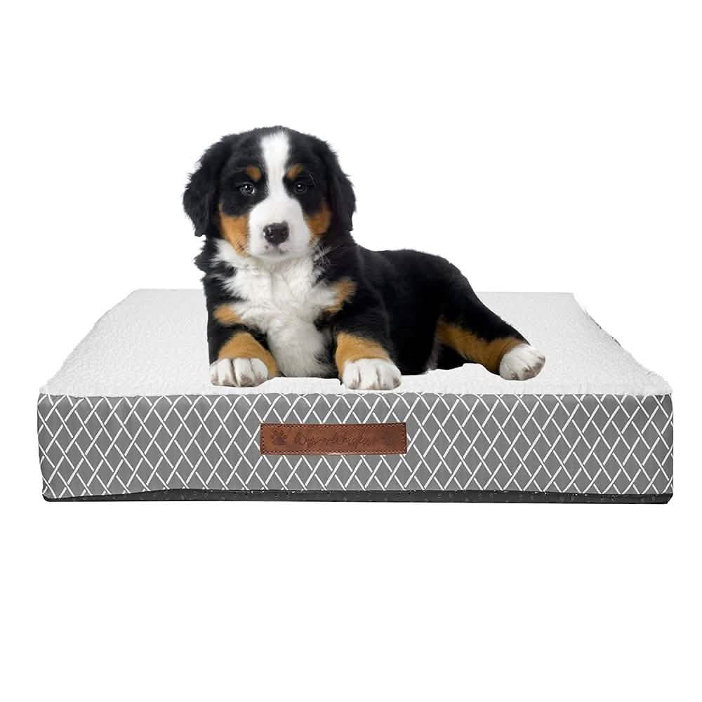 Wags & Whiskers Memory Foam Pet Bed - Assorted Styles Pet Supplies - DailySale