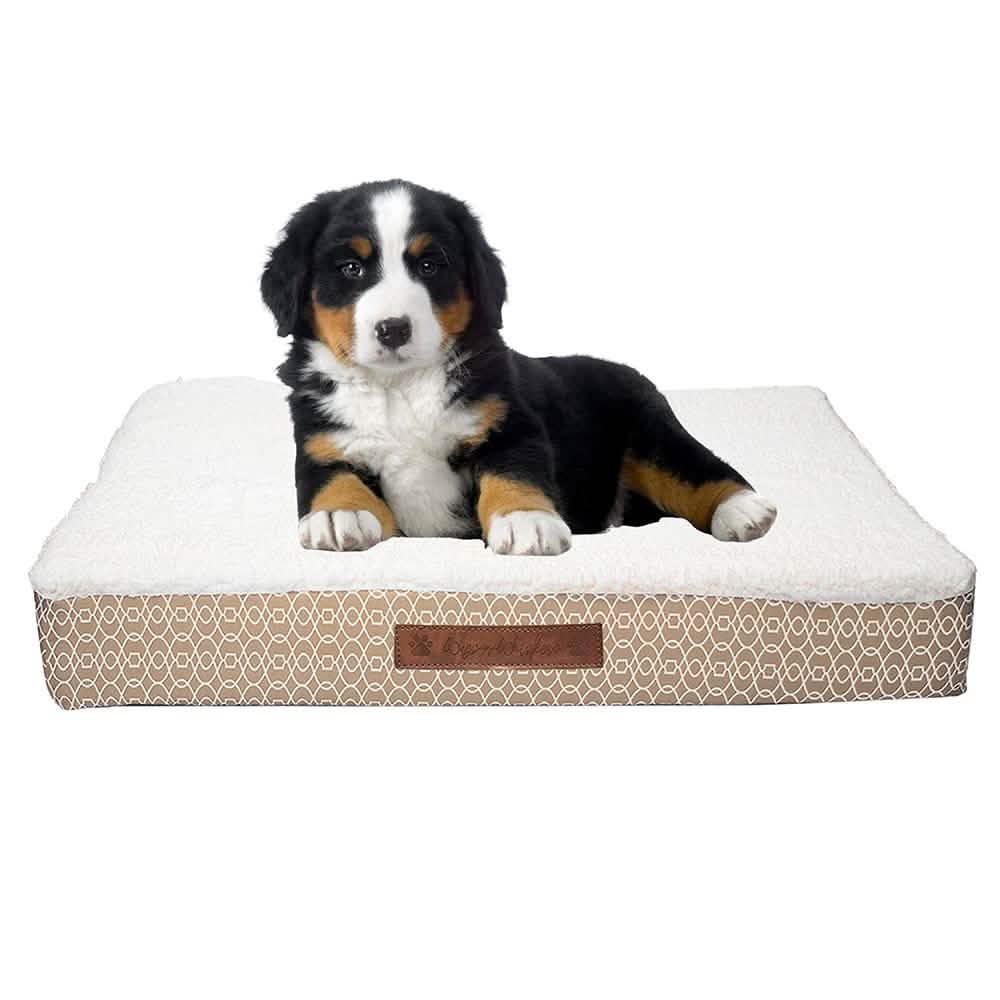 Wags & Whiskers Memory Foam Pet Bed - Assorted Styles Pet Supplies - DailySale